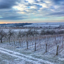Load image into Gallery viewer, Krasna Hora Pinot Noir CZECHIA 🇨🇿
